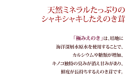 天然ミネラルたっぷりの
シャキシャキしたえのき茸