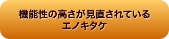 機能性の高さが見直されているエノキタケ