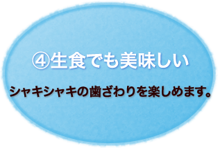 ④生食でも美味しい
シャキシャキの歯ざわりを楽しめます。