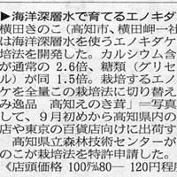 海洋深層水で育てるエノキダケ
