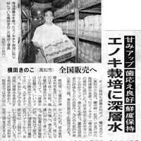エノキ栽培に深層水