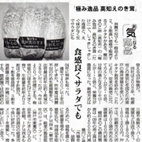 「極みの逸品高知えのき茸」食管良くサラダでも